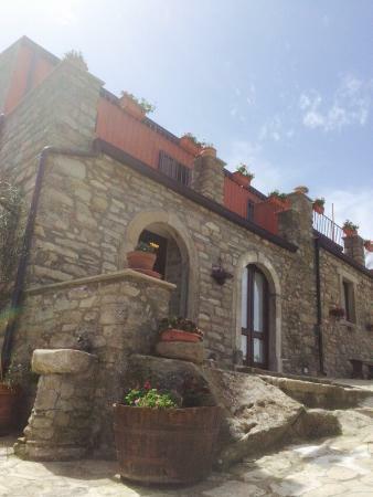 Agriturismo Il Gelso