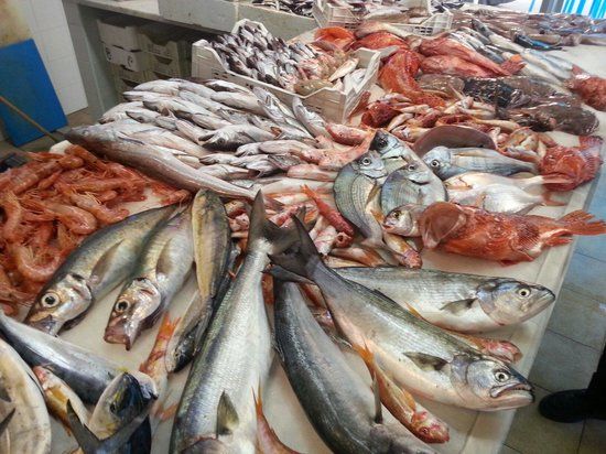 pescheria gastronomica bluefisc