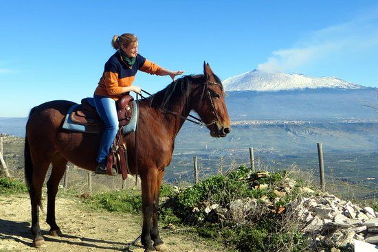 Centro Volteggio ed Equitazione Sole dell'Etna