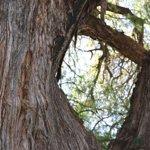 Panificio 3A Di Agro