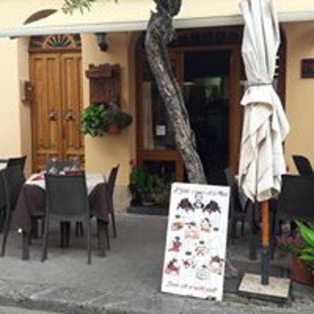 El Latido della Musa