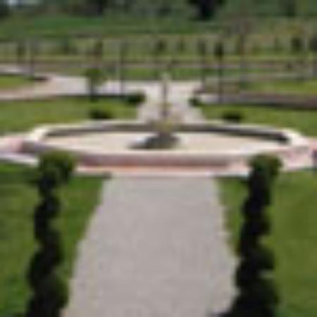 Pizzeria Magic Pizza