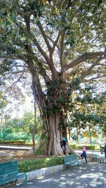 Passeggiata al Giardino Inglese