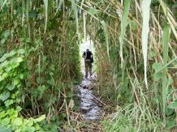 Timpa della Leucatia