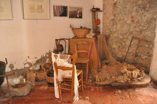 Museo Casa del Nespolo