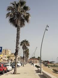 Lungomare Federico II di Svevia