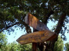 Riserva naturale orientata Monte San Calogero