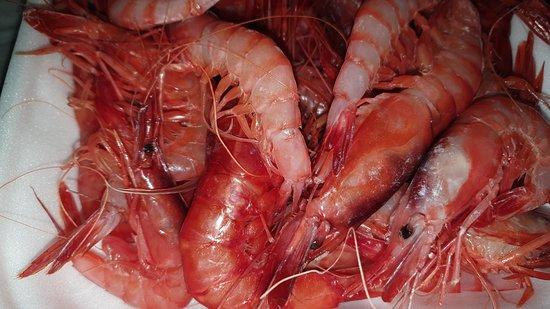 Osteria Pizzeria Fiore del Cappero