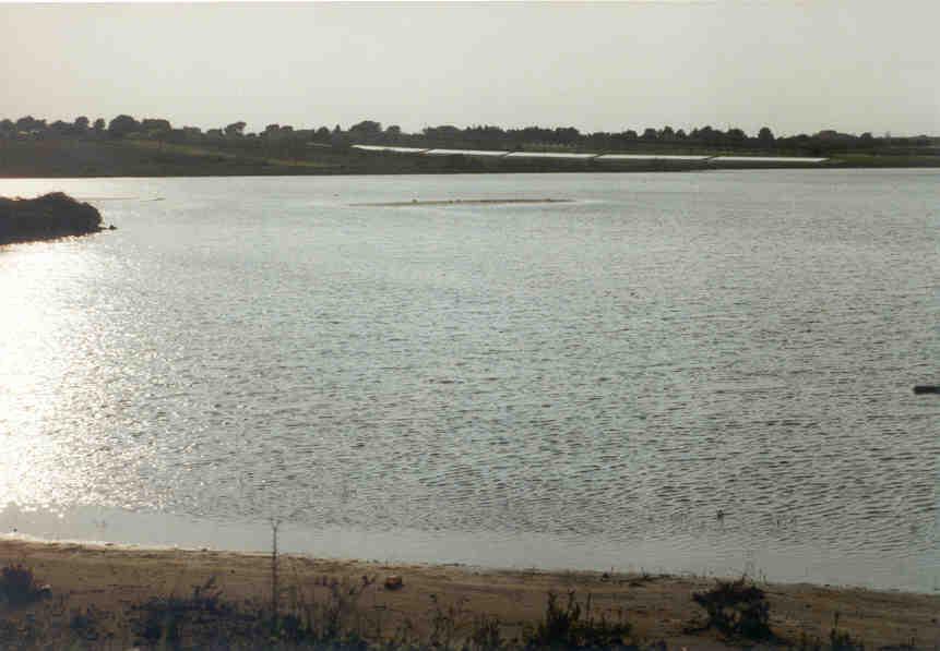 Pantano Longarini