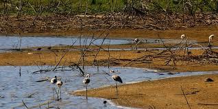 Riserva naturale orientata Biviere di Gela