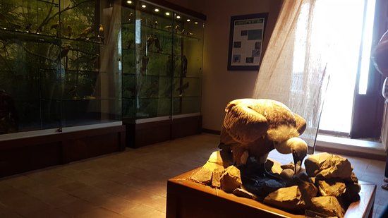 Museo della Fauna