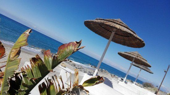 Oasi Azzurra Ristorante Pizzeria Bar