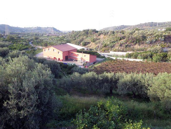 Azienda Agricola Vasari