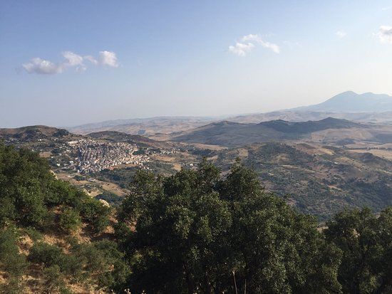 Azienda Agricola Tripi