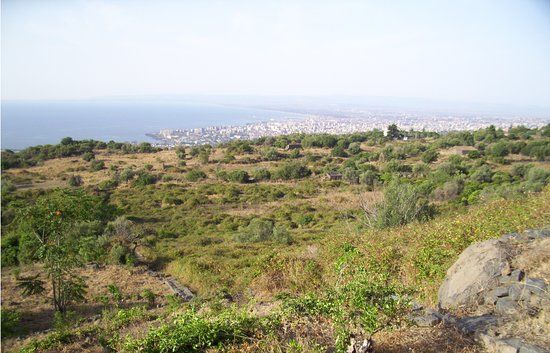 Riserva naturale integrale Complesso Immacolatelle e Micio Conti