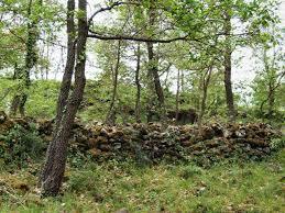 Parco Polivalente Sciarone